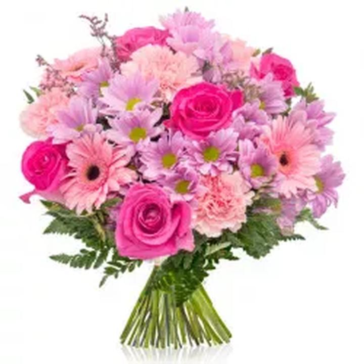 Najpopularniejsze gatunki kwiatów