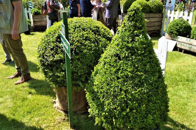 Techniki i narzędzia topiary