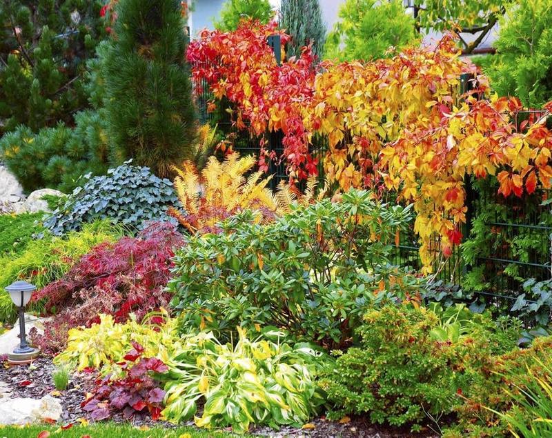 Transformacja ogrodu w mgnieniu oka