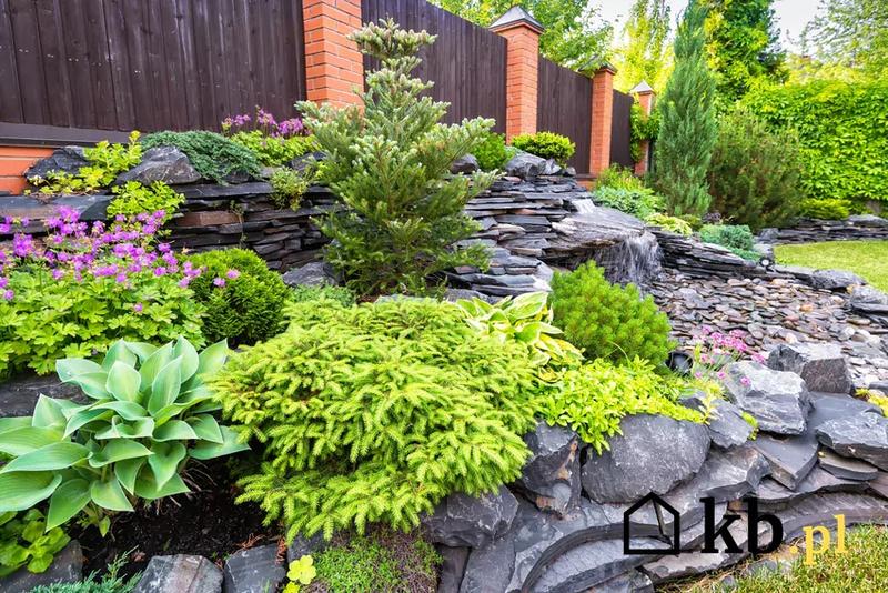 Zalety ekologiczne i estetyczne ogrodu