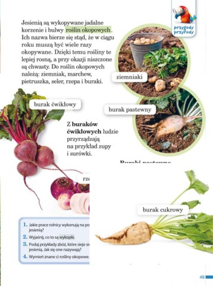 Zdrowotne właściwości roślin okopowych