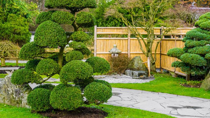 Magiczne Topiary: Jak Tworzyć Zielone Arcydzieła w Ogrodzie